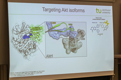 Vortrags-/Postersession