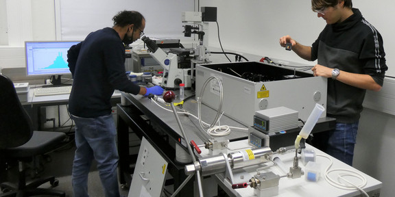 Mukherjee - Knop Sanjub Mukherjee und Jim-Marcel Knop im Labor