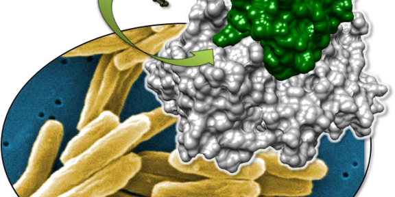 Grafikillustration Grafikillustration