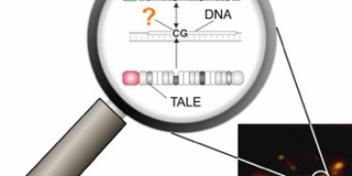 Grafikillustration Grafikillustration