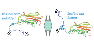 Grafikillustration Grafikillustration