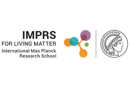 Logo IMPRS