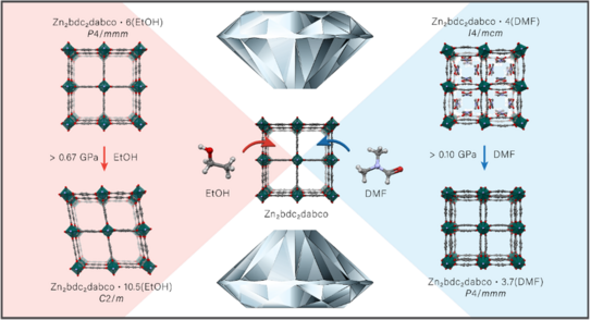 Schematic illustration for publication