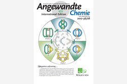 Back-Cover Angewandte Chemie 2017-56/28