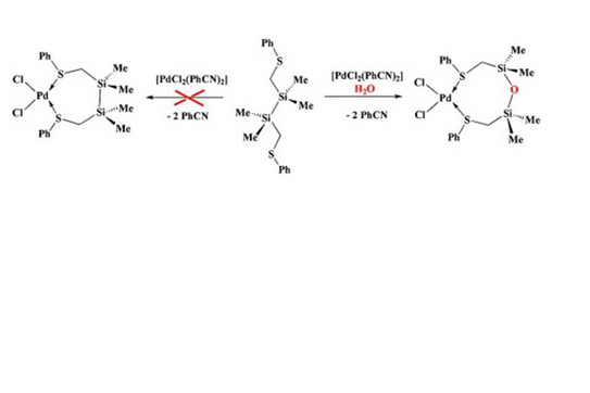 Schematische Illustration zur Veröffentlichung