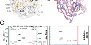 Grafikillustration Grafikillustration zum News-Beitrag