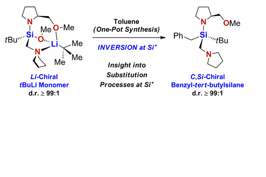 Schematische Illustration zur Veröffentlichung Schematische Illustration zur Veröffentlichung