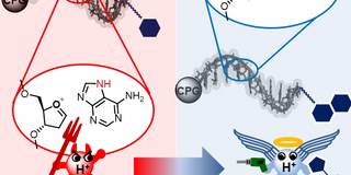 Grafikillustration Grafikillustration