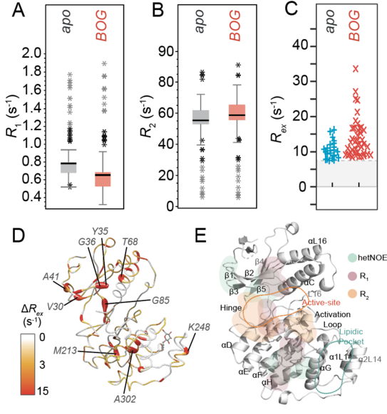 Graphical abstract Graphical abstract