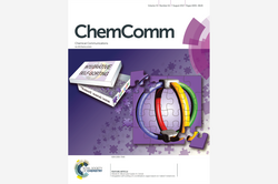 Inside-Cover ChemComm 53/61