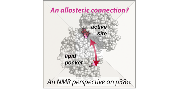 Graphical abstract Graphical abstract
