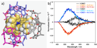 Picture of a hydrogen-bonded capsule with a guest showing a CPL effect.