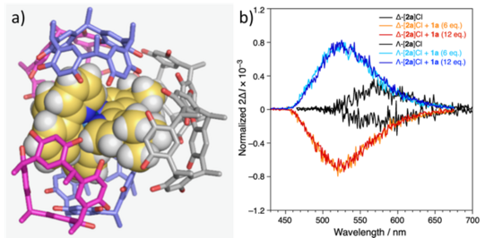 Picture of a hydrogen-bonded capsule with a guest showing a CPL effect.
