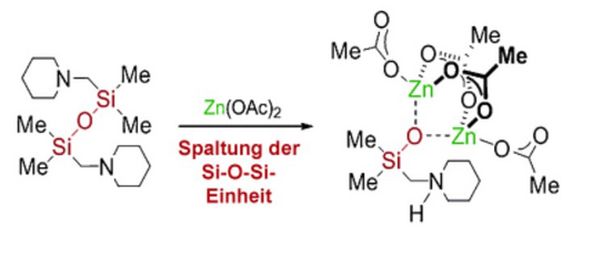 Schematische Illustration zur Veröffentlichung