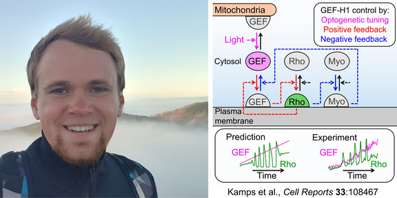 Portrait Dominic Kamps / Grafikillustration