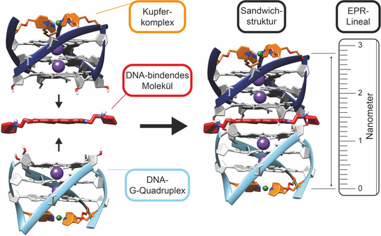 Bild über die Wirkweise der Abstandsmessung mit EPR Spektroskopie