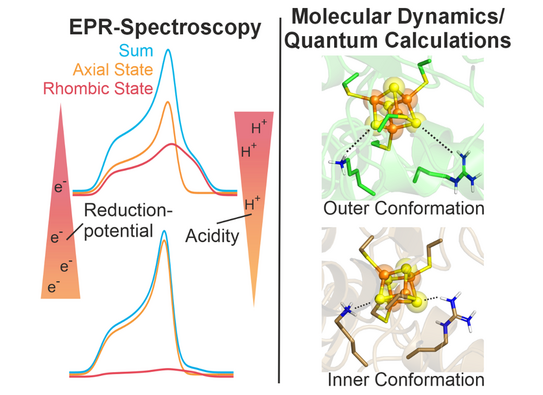 Grafikillustration Grafikillustration