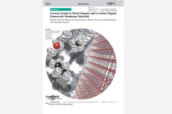 Cover Angewandte Chemie