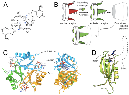 Grafikillustration Grafikillustration