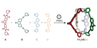 Formation of a Pd2ABCD cage
