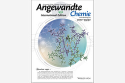 Inside Cover von Angewandte Chemie International Edition 