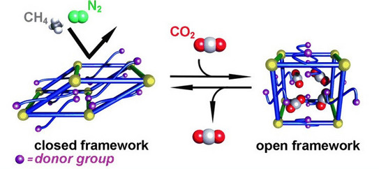 Schematic illustration for publication