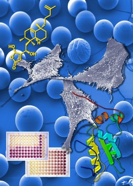 Grafische Darstellung chemischer Membranprozesse
