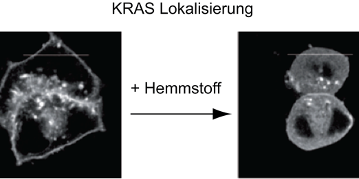 Fluoreszenz-Aufnahme Fluoreszenz-Aufnahme