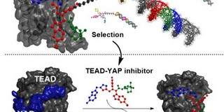 Grafikillustration Grafikillustration