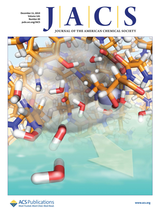 Coverbild Cover des JACS-Journals