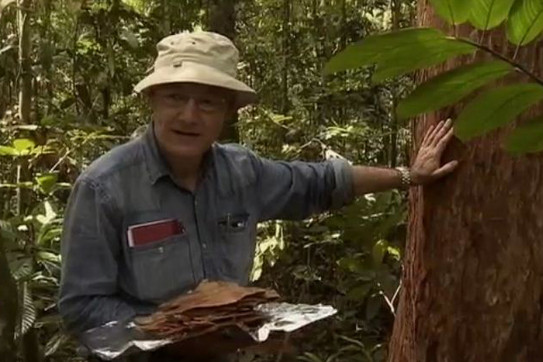 Spiteller Prof. Spiteller