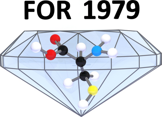 Logo FOR1979 Logo FOR1979