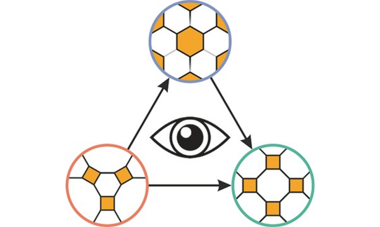 Schematic illustration for publication
