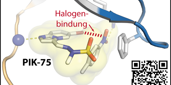 Grafikillustration Grafikillustration