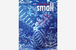 Cover Small-Journal