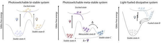 Overview of photoresponsive switching pathways