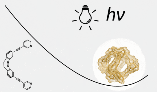 Animiertes Bild eines Wirt-Gast Komplexes außerhalb des thermodynamischen Gleichgewichts
