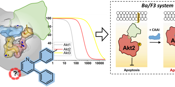 Grafikillustration Grafikillustration