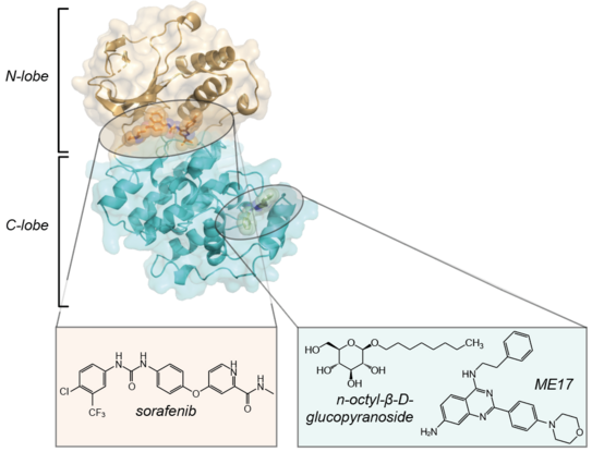 Graphical abstract Graphical abstract