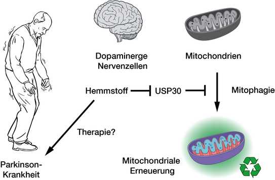 Grafikillustration Grafikillustration