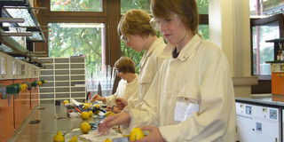 Laborszene