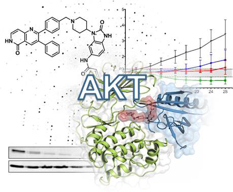 Grafische Illustration Grafische Illustration