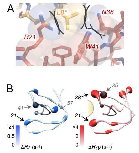 Titelbild Angewandte Chemie